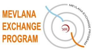 міжнародні програми обміну